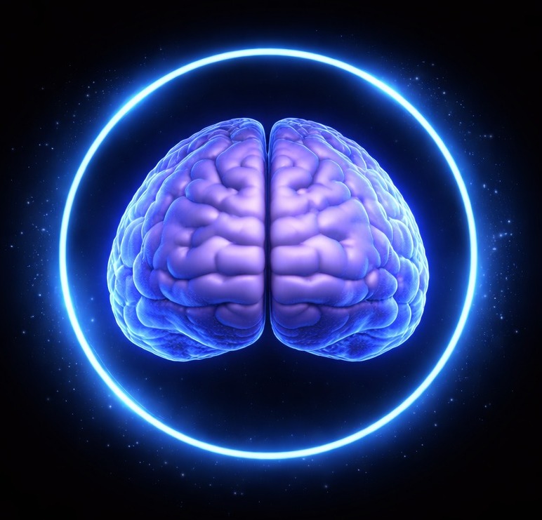 WhatsApp Image 2026-03-06 at 14.29.13 (2) (1)